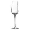 Sublym Champagne Flutes 7.5oz / 210ml 2 Sublym Champagne Flutes 7.5oz / 210ml -Best Cutlery Store 124482