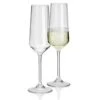 Savoy Polycarbonate Champagne Flutes 10.2oz / 290ml -Best Cutlery Store 125822