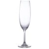 Sylvia Champagne Flute 7.75oz / 400ml -Best Cutlery Store 167230