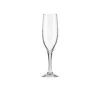 Vicrila FT Arneis Champagne Flute 17.50ml / 6oz